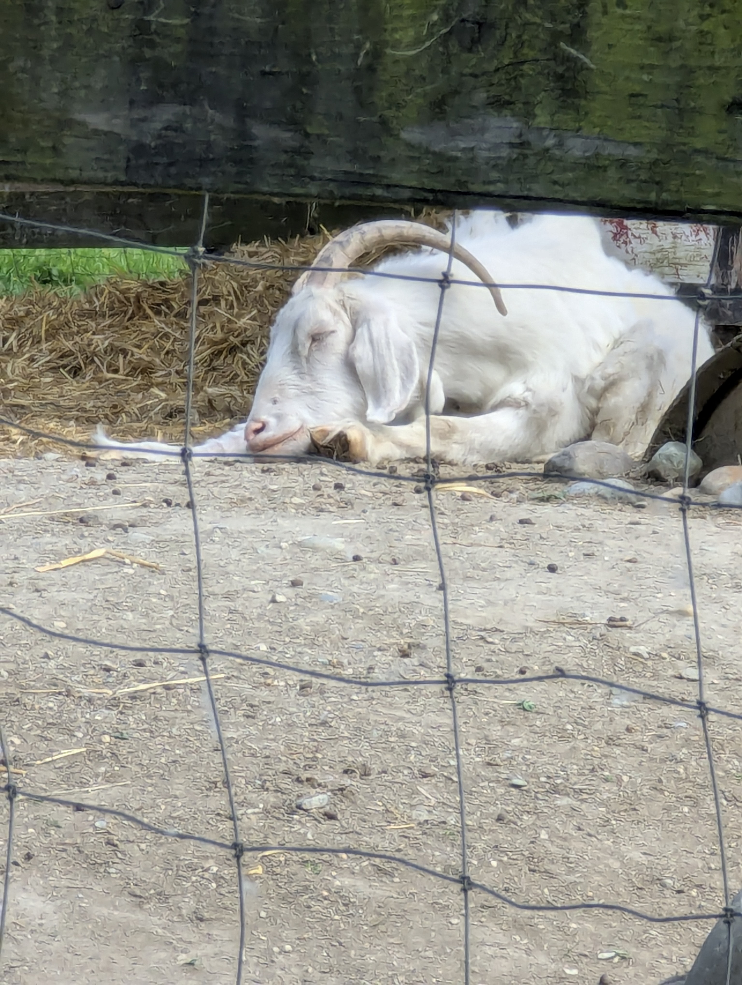 Birthday Trip to Canada, Country Vines Winery, Richmond, British Columbia